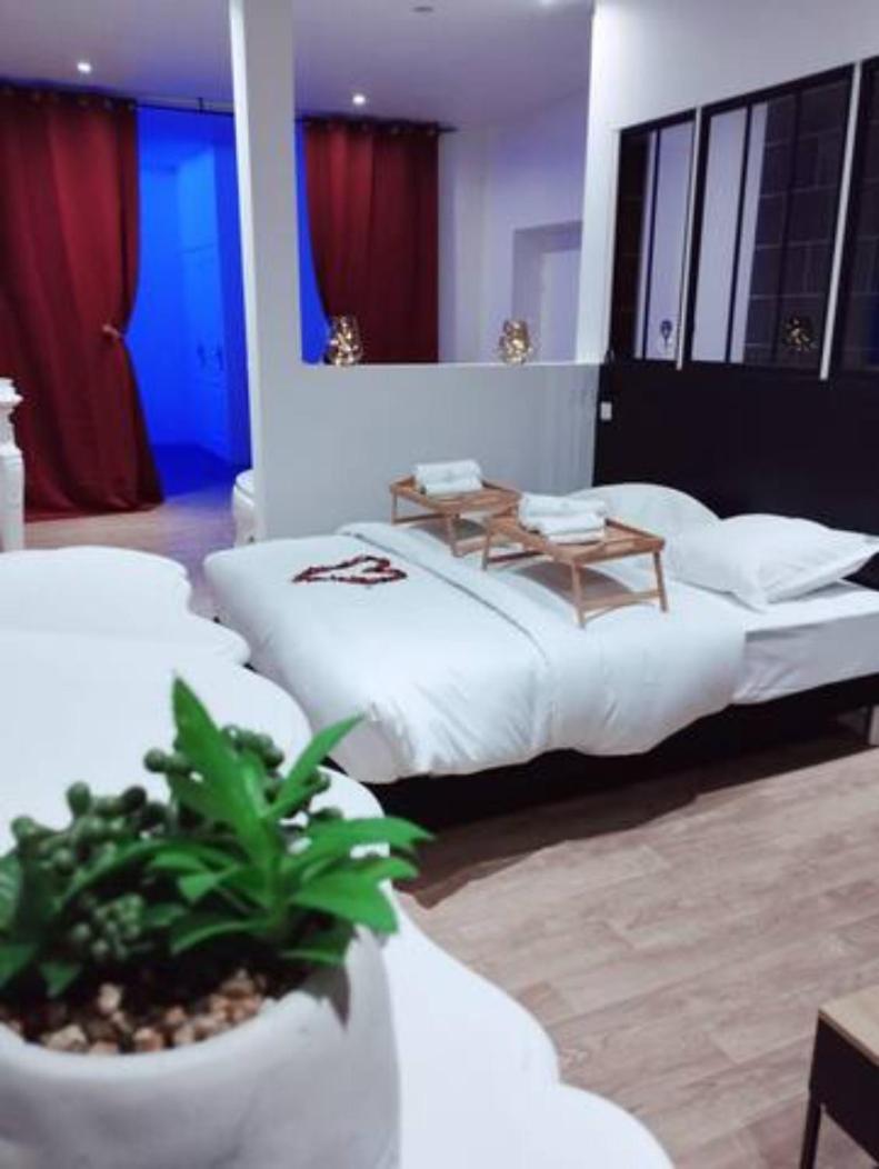 Ng Prestige - Lille L Tourcoing Winoc - Balneo - Sauna - Netflix - Wifi Buitenkant foto